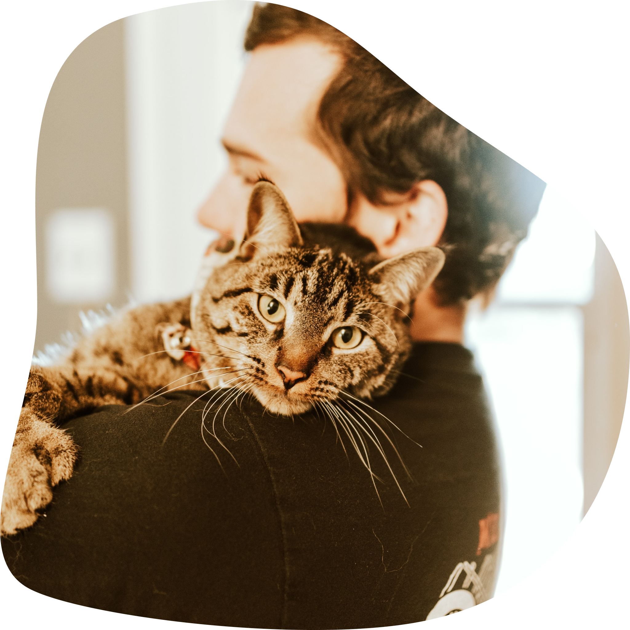 Homme portant un chat dans les bras.
